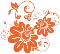 Two orange flowers vector drawing