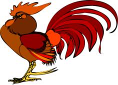 Color illustration of a rooster