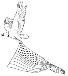 Vector line art illustration of bird of prey in flight with American flag