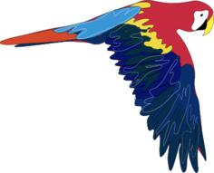 Vector graphics of macaw flying