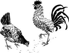 Hen and rooster graphics
