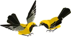 Vector clip art of yellow and black bird