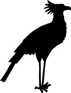 Secretary bird silhouette vector image