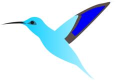 Graphics of humming bird in flight