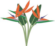 Vector clip art of paradise flower