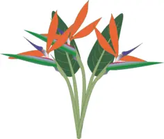 Vector clip art of paradise flower