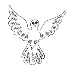 Dove bird outline drawing