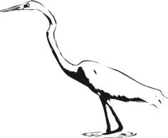 Great Egret vector clip art
