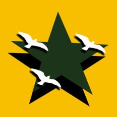 Clip art of sea birds flying over a dark green star