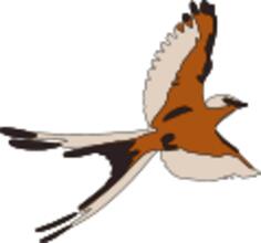 Colored clip art of flying bird