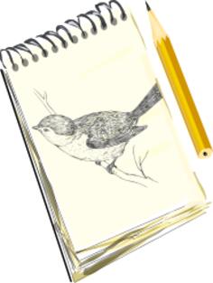 Sketchpad drawing of a bird on a pad