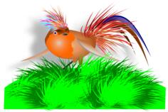 Vector drawing of colorful bird on grass