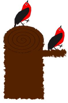 Woodpeckers vector image