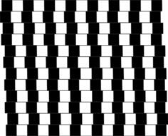 Straight lines of alternating black and white squares illustration