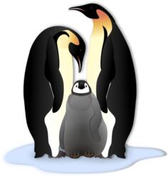 Penguin family in color illustration
