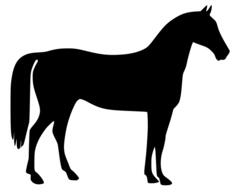 Horse silhouette vector illustration
