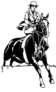 Female equestrian riding a horse graphics