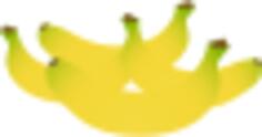 Yellow bananas color illustration