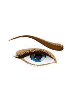 Vector graphics of brown eyebrow eye