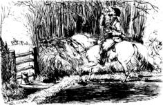 Vector image of horse rider