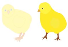 Vector image of two chicks in different shades of yellow