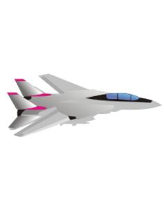 Grumman F-14 Tomcat aircraft vector image