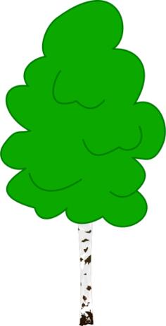 Vector graphics of young birch in color