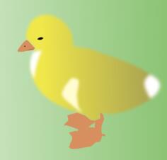 Vector drawing of yellow chick on green background