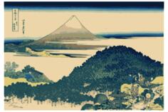 Vector drawing of cushion pine at Ayoama