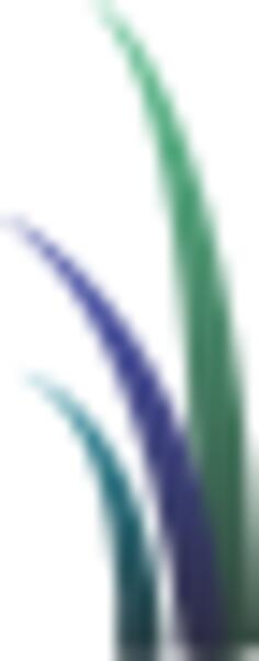 Image of three colored grass leaves