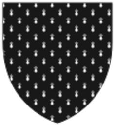 Black shield with pattern