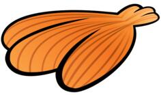 Image of summer orange sea shell