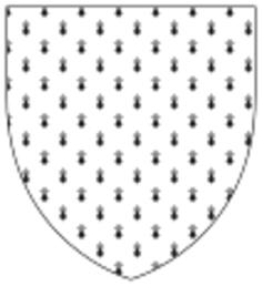 Shield with seamless pattern