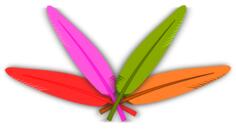 Vector clip art of four crossed color feathers