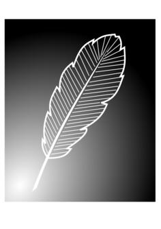 Inverted feather image