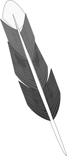 Drawing of grey feather