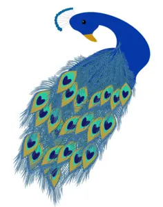 Graphics of blue peacock tail and head