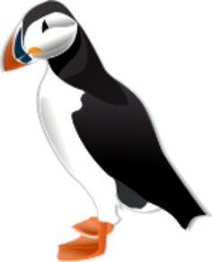 Puffin bird vector illustration
