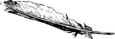 Vector image of blue and red bird feather