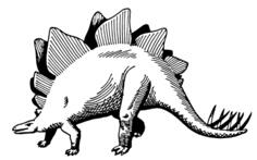 Stegosaurus in black and white vector image
