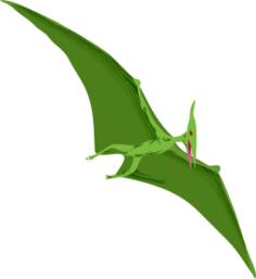 Vector drawing of reptile in flight