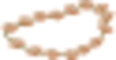 Artifact necklace rhyolite vector image
