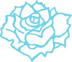 Vector illustration of full bloom rose in blue outline