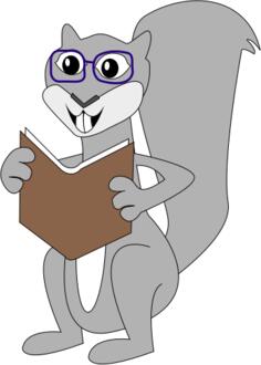 Cartoon squirrel vector drawing