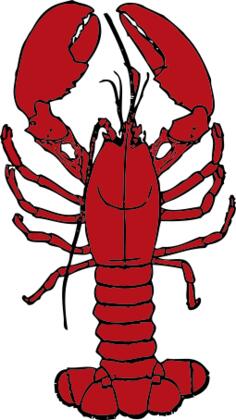 Vector drawing of lobster