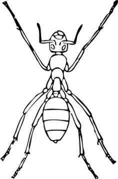Vector clip art of ant with six legs
