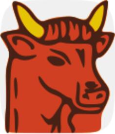 Vector illustration of bull with small horns