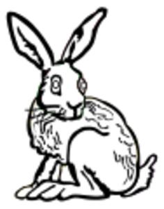 Line art vector illustration of bunny with long ears