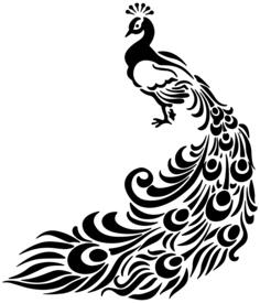 Peacock line art vector drawing