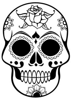 Line art vector image of human skull